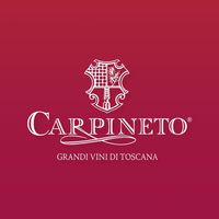 Carpineto