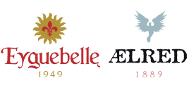 Eyguebelle Aelred