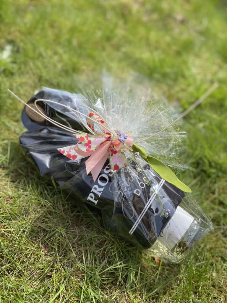 prosecco ovenhandschoen