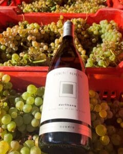 8ed43fb8 1c89 5b1d 283e 6f556eba73ed